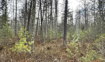 24996 Horseshoe Rd, Akeley, MN 56433
