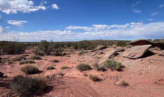 51 N9087, Concho, AZ 85924