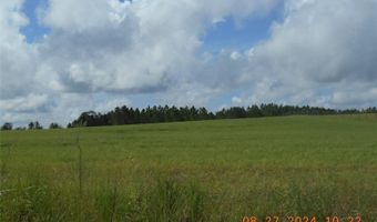 Lot 3 NW 72 PLACE, Bell, FL 32619