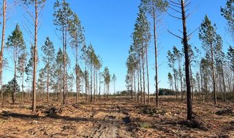 003 Old Camden Rd 3, Bishopville, SC 29010