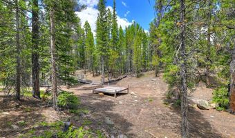 2221 Kootchie Kootchie Rd Lot 0, Alma, CO 80420