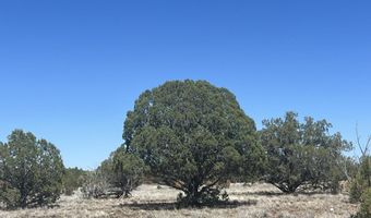 10 S2 Off Of Looking Glass, Ash Fork, AZ 86320