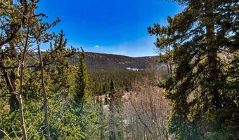 270 Co Rd 667 Lot 0, Alma, CO 80440