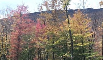 1430 Back Rd, Belvidere Center, VT 05442