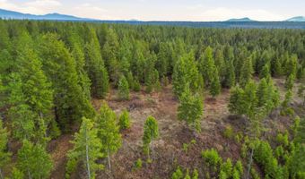 3804 Kelso Lake Rd, Athol, ID 83801