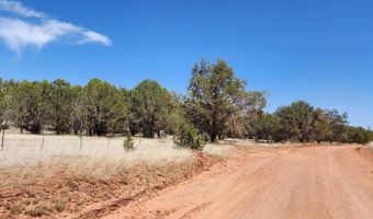 Ranch And Cattle lot 13, Ash Fork, AZ 86320