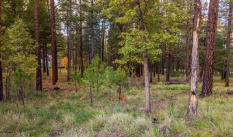COUNTY ROAD 2196, Alpine, AZ 85920