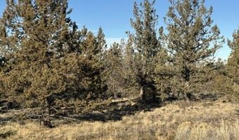 Canvasback Drive, Bonanza, OR 97623