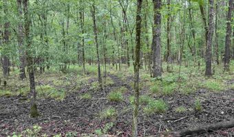 0 CR 3216, De Kalb, TX 75559