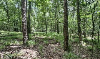 Pine Lodge Road, Batesville, MS 38606