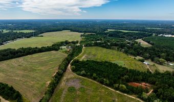 20 Ac State Hwy 95 Columbia Rd, Abbeville, AL 36310