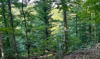 Caudill Road, Beattyville, KY 41311