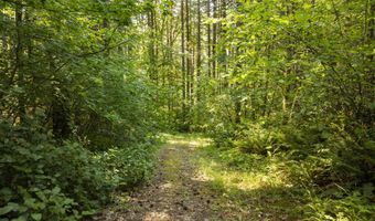 Green Mountain Rd 2, Banks, OR 97106