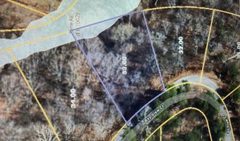 Stoneway Court lot 926, Baneberry, TN 37890