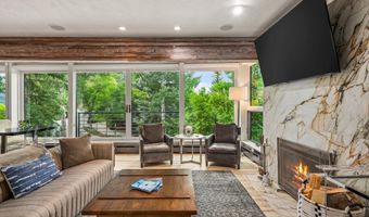 738 S Galena St 1-C, Aspen, CO 81611
