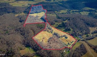 1520 Brittontown Rd, Afton, TN 37616