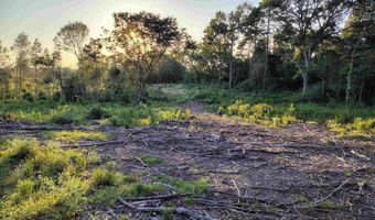 9751 Ocelot, Gilmer, TX 75644