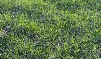 SE 95th Road, Agency, MO 64401