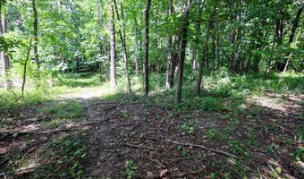 25270 B Dr S, Albion, MI 49224