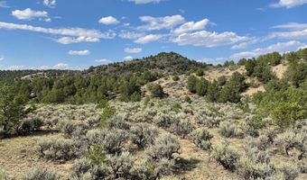 Tres Lomas, Arroyo Hondo, NM 87513