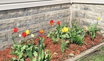 220 E Crapo St, Alpena, MI 49707