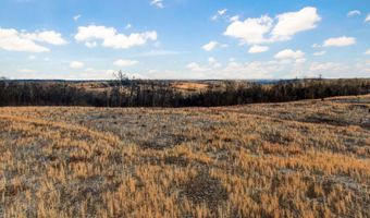 208 Cabin Rd, Ava, MO 65608