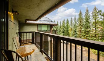 650 S Monarch St 9, Aspen, CO 81611