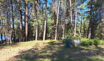 NNA Hanaford Rd Blk 3 Lot 17, Blanchard, ID 83804