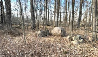 THORN APPLE Drive Lot 2, Wittenberg, WI 54499
