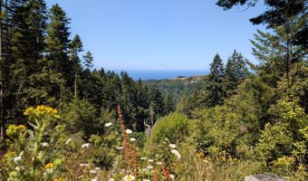 23506 CARPENTERVILLE Rd, Brookings, OR 97415