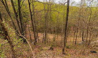 Tbd9999 Wentworth School Road, Beattyville, KY 41311