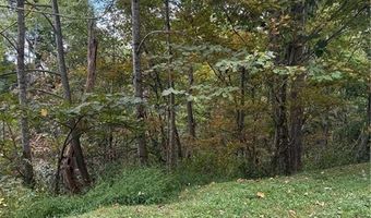 Tdb Nettles Ridge Road, Banner Elk, NC 28604