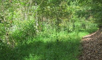 43 Sanctuary Ln, Alderson, WV 24910