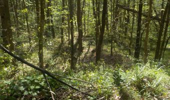 Steve Brown Road, Bean Station, TN 37708