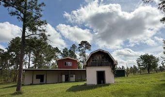 1034 Ga Hwy 30, Alamo, GA 30410