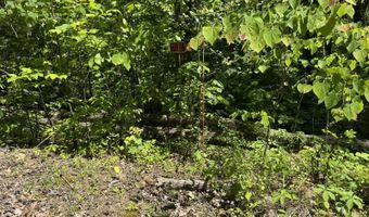 0 94+/- Acres Lakeview Dr, Albany, KY 42602