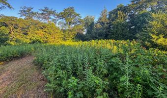 625 Th Ave, Albia, IA 52531
