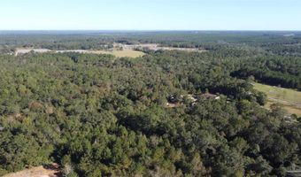 0 Cowpen Creek Rd, Atmore, AL 36502