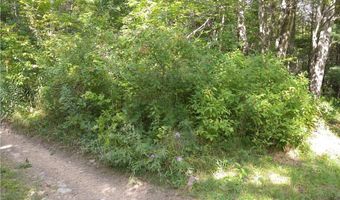 1454 Crane Ln, Woodhull, NY 14801