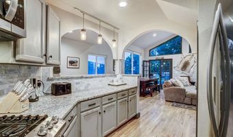 1095 Quartzville Rd, Alma, CO 80440
