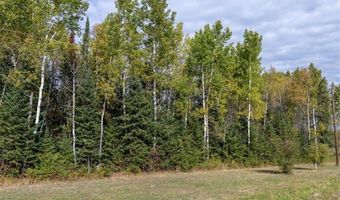 Xxx Highway 11, International Falls, MN 56649