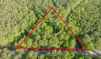Ethridge Drive, Andrews, SC 29510