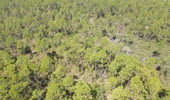 21947 NW Isoletta Rd, Altha, FL 32421