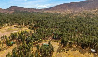 7 A County Road N2312, Alpine, AZ 85920