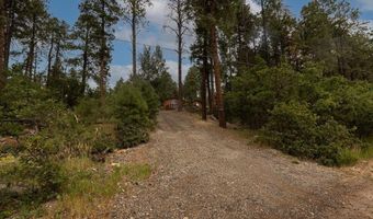 133 Pine Cone Dr, Bayfield, CO 81122