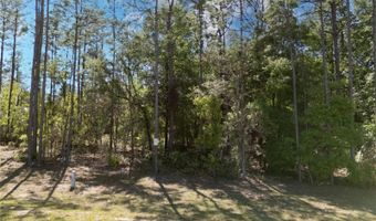 0 NE 101ST Ter, Archer, FL 32618