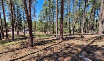 79 Spruce Way, Bayfield, CO 81122