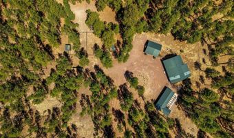 61 Co Rd 2266, Alpine, AZ 85920