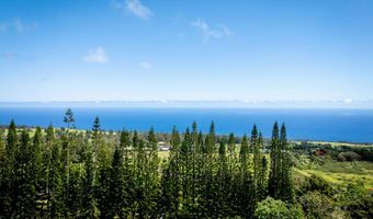 44-2527 KALOPA MAUKA Rd, Honokaa, HI 96727