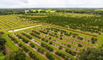 SW CARLTON Avenue, Arcadia, FL 34266